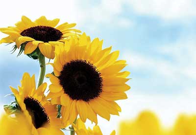 晚上睡不着,经常失眠怎么办?