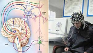 �����ر�Ԥ��